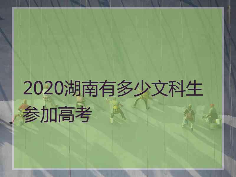 2020湖南有多少文科生参加高考