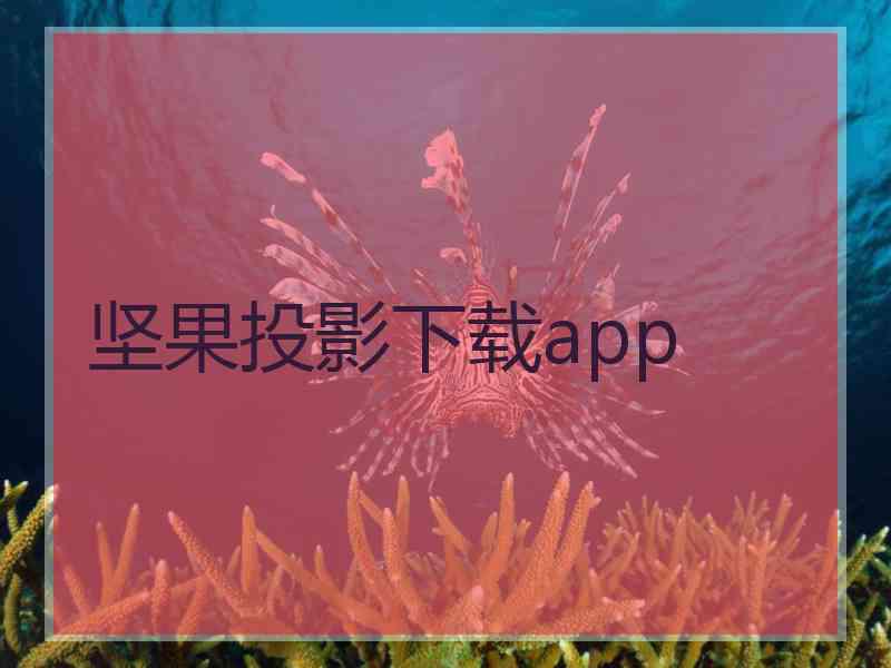 坚果投影下载app