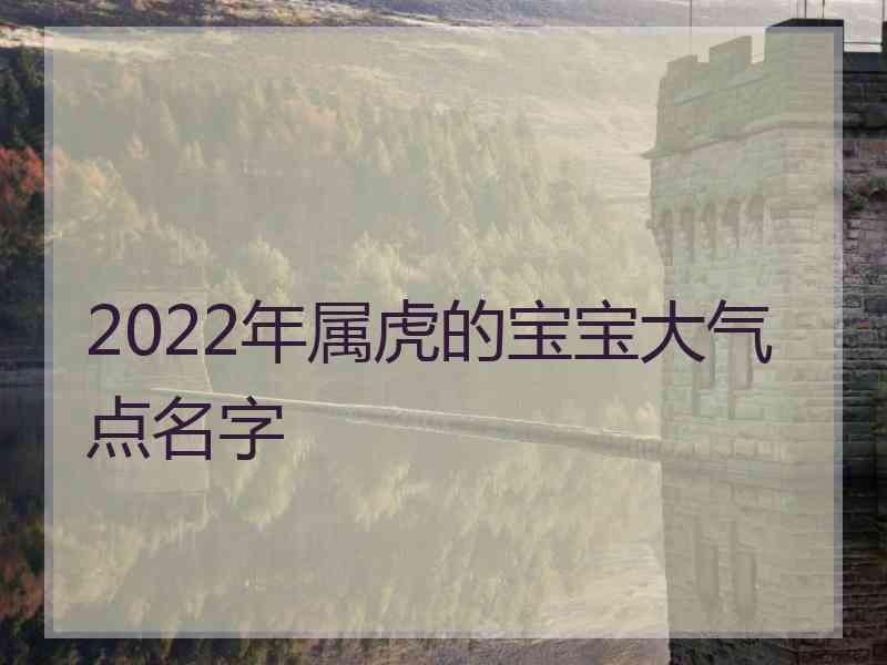 2022年属虎的宝宝大气点名字