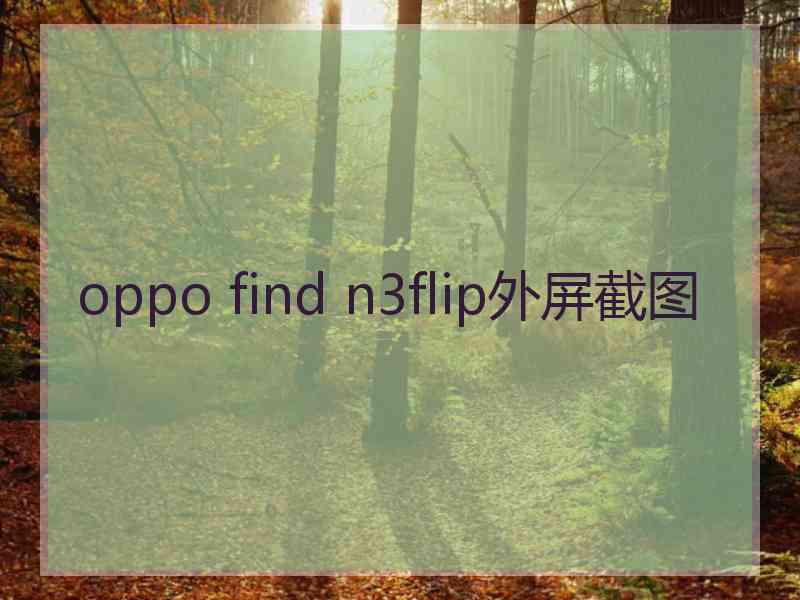 oppo find n3flip外屏截图