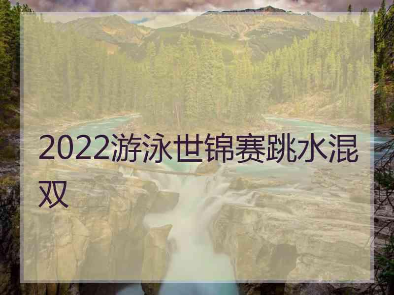 2022游泳世锦赛跳水混双