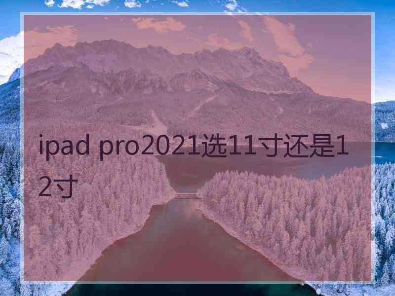 ipad pro2021选11寸还是12寸