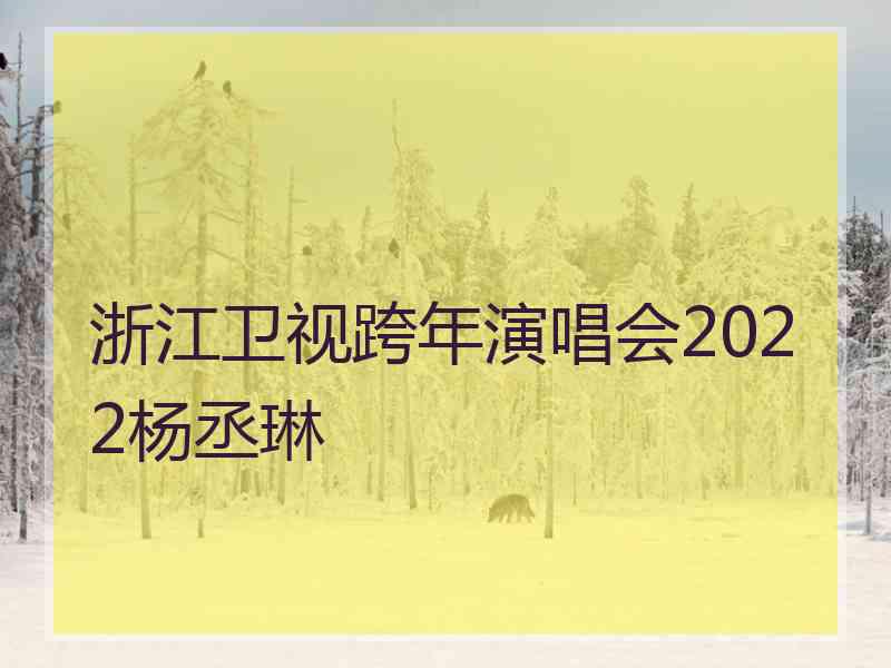 浙江卫视跨年演唱会2022杨丞琳