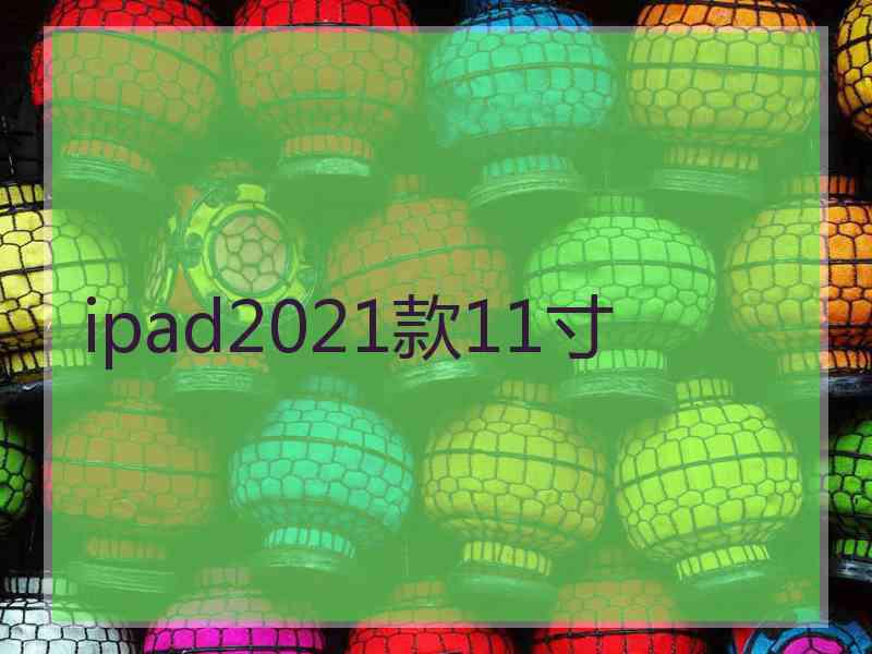 ipad2021款11寸