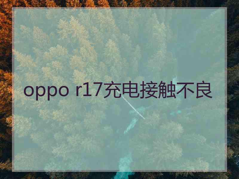 oppo r17充电接触不良