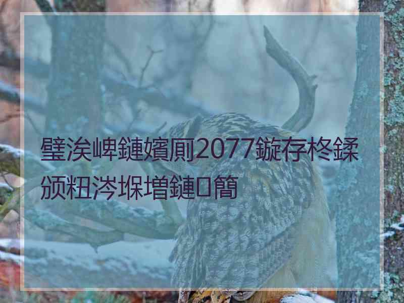 璧涘崥鏈嬪厠2077鏇存柊鍒颁粈涔堢増鏈簡