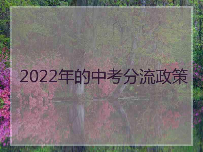 2022年的中考分流政策