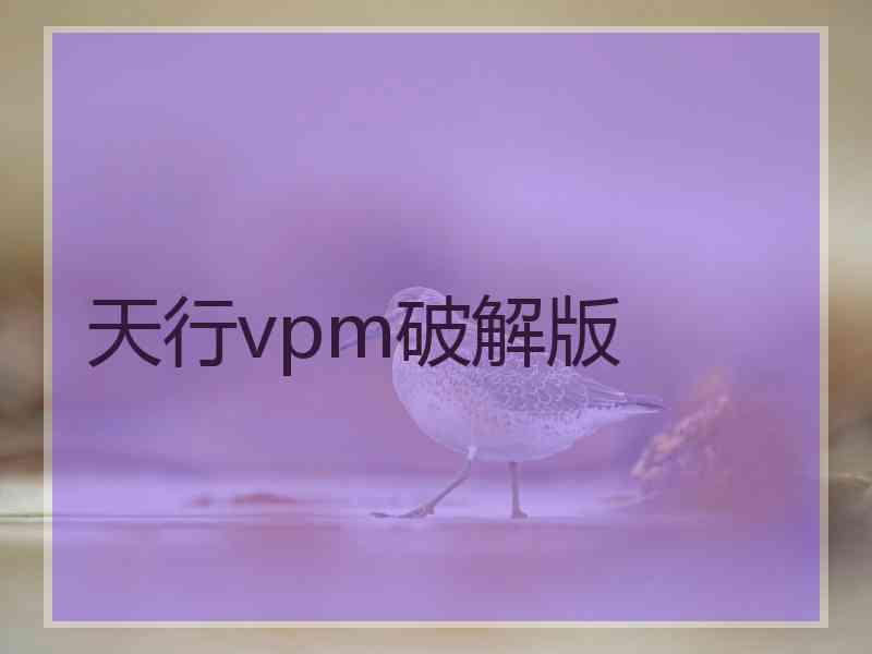 天行vpm破解版