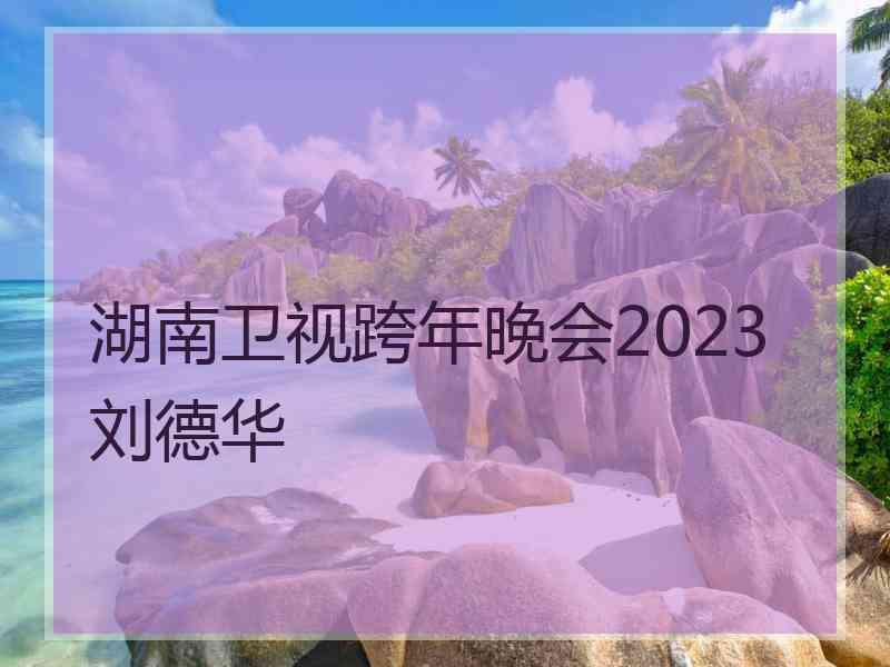 湖南卫视跨年晚会2023 刘德华