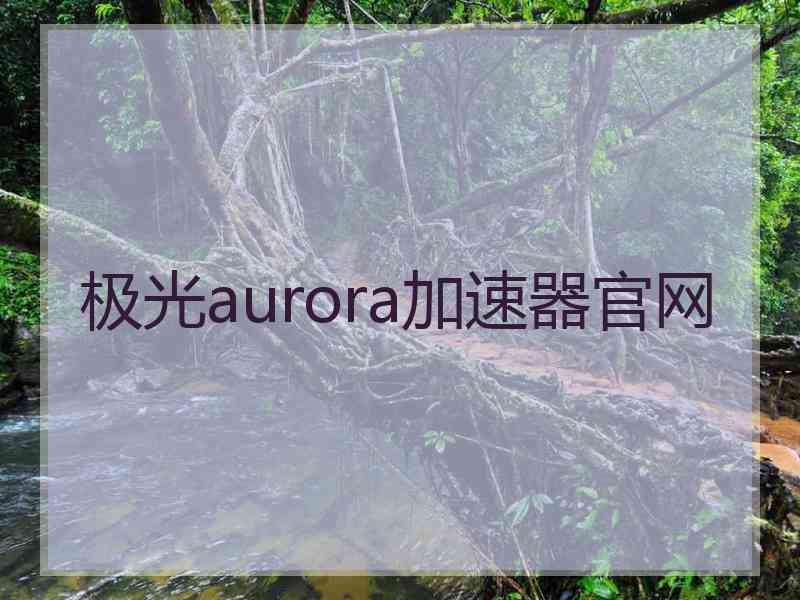 极光aurora加速器官网