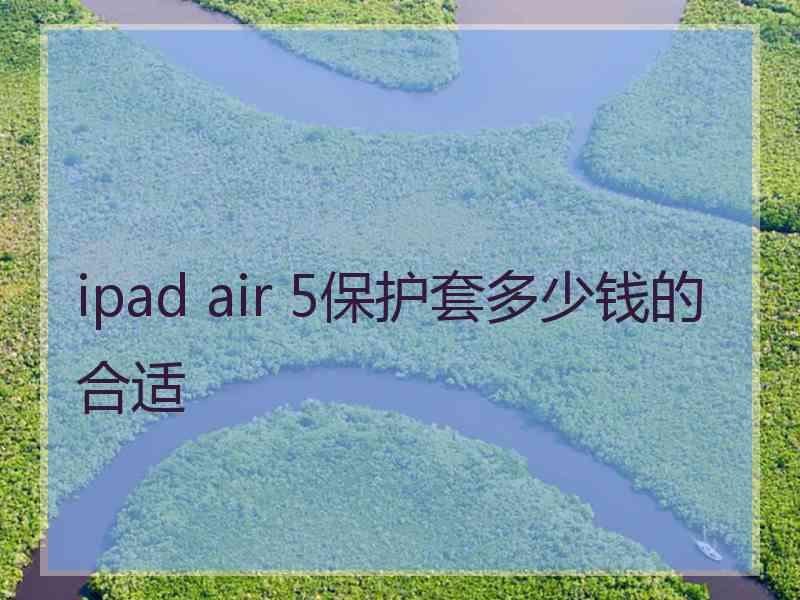 ipad air 5保护套多少钱的合适