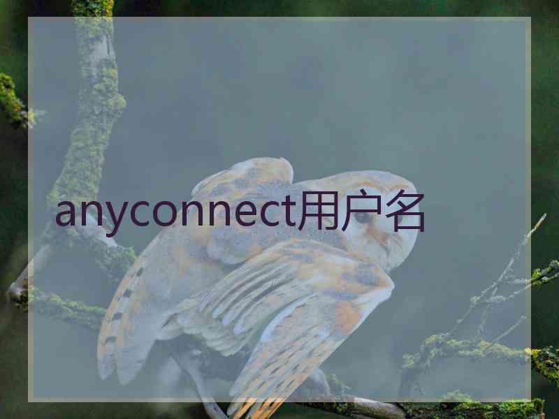 anyconnect用户名