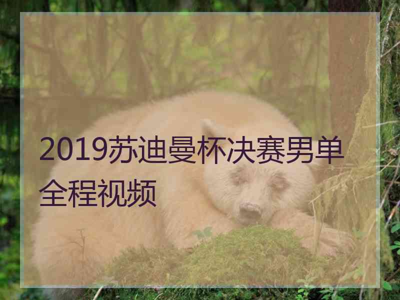 2019苏迪曼杯决赛男单全程视频