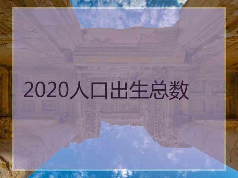 2020人口出生总数