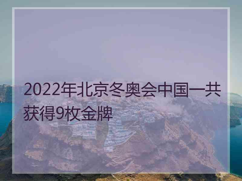 2022年北京冬奥会中国一共获得9枚金牌