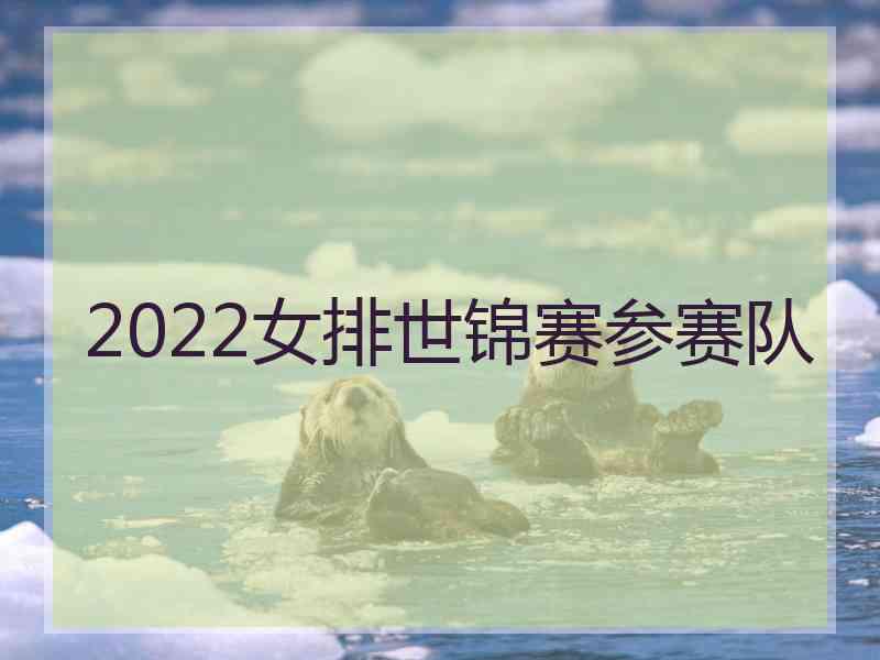 2022女排世锦赛参赛队