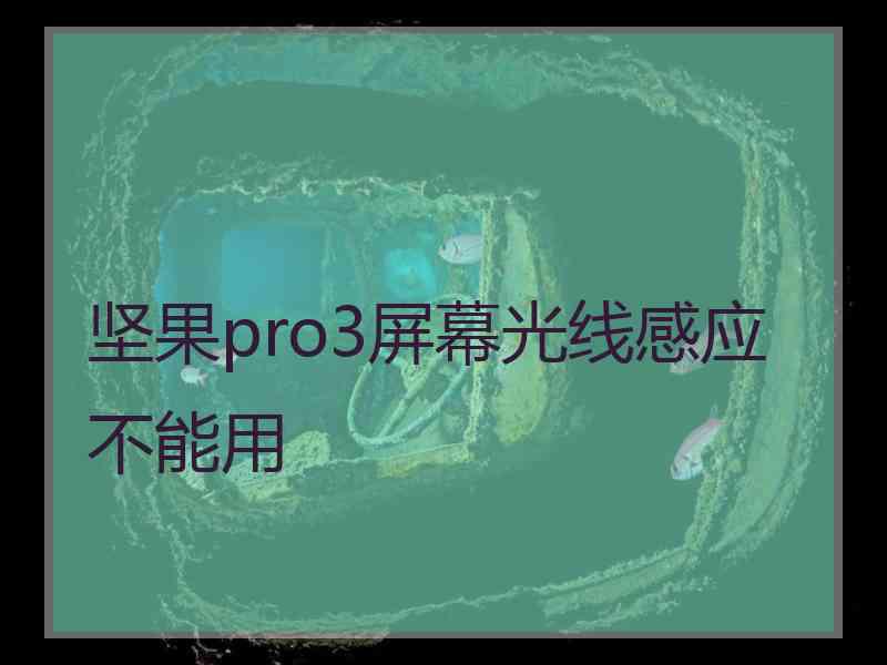 坚果pro3屏幕光线感应不能用