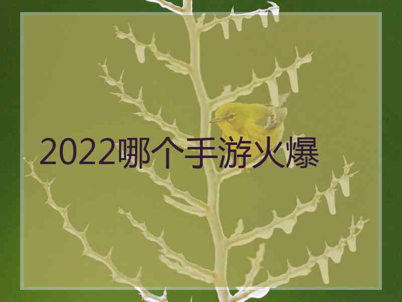 2022哪个手游火爆