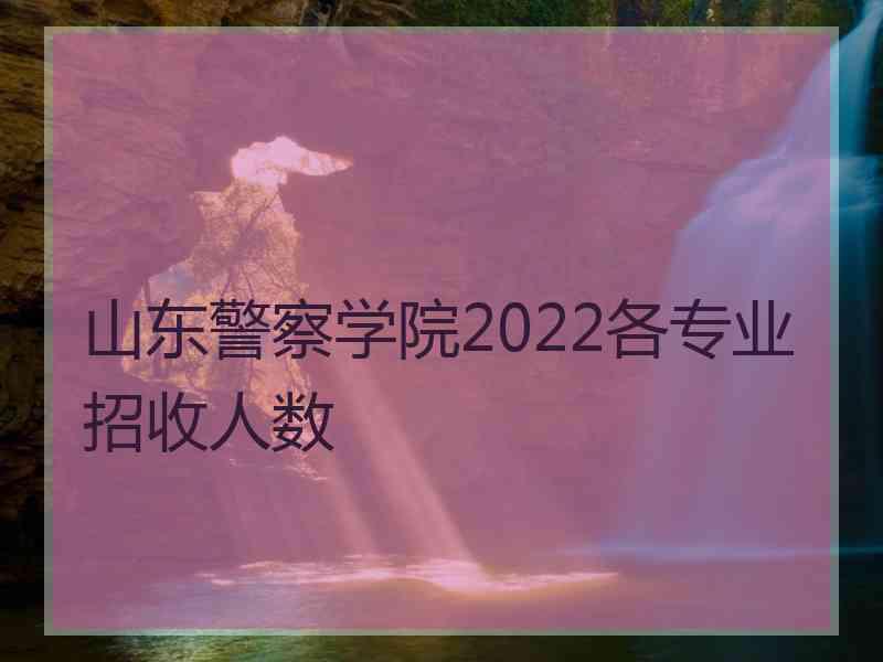 山东警察学院2022各专业招收人数