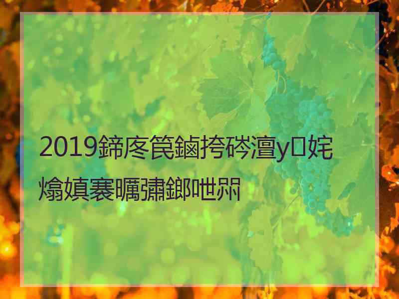 2019鍗庝笢鏀挎硶澶у姹熻嫃褰曞彇鎯呭喌