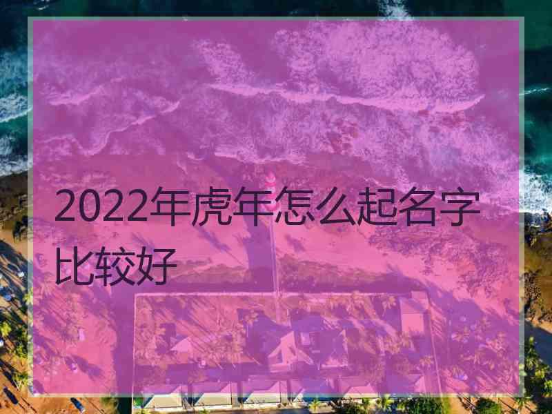 2022年虎年怎么起名字比较好