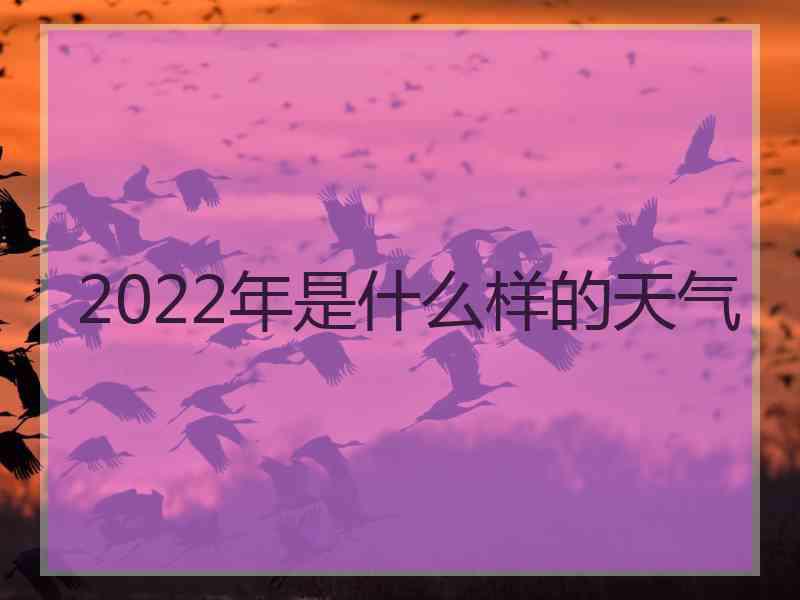 2022年是什么样的天气