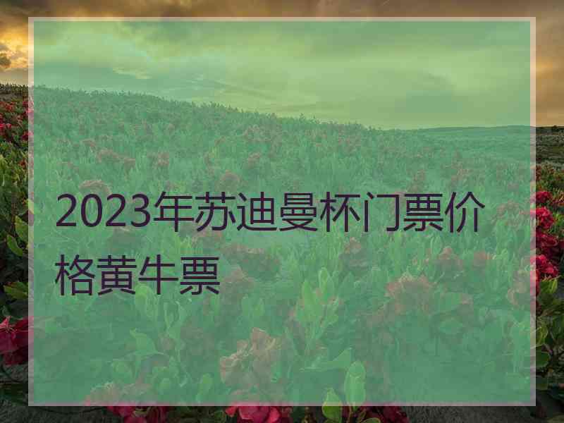 2023年苏迪曼杯门票价格黄牛票