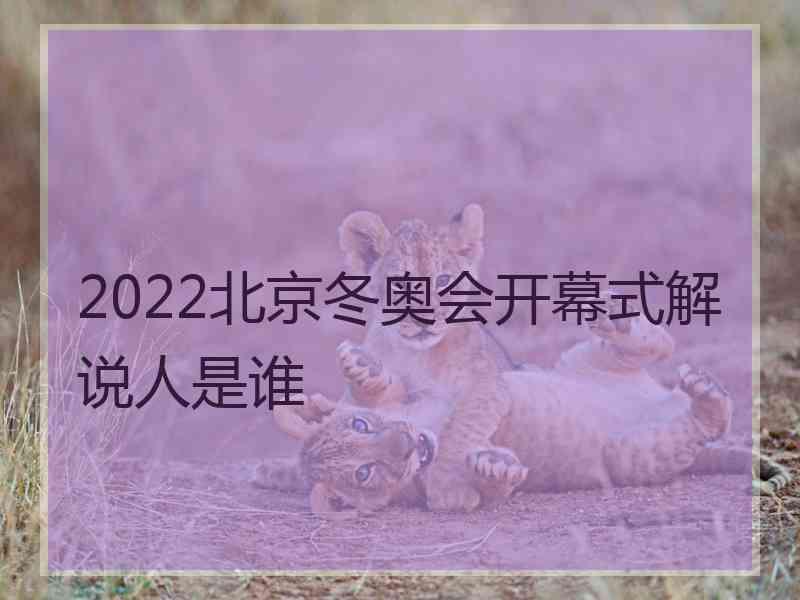 2022北京冬奥会开幕式解说人是谁