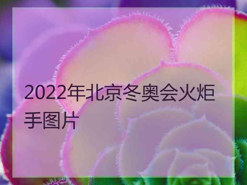 2022年北京冬奥会火炬手图片