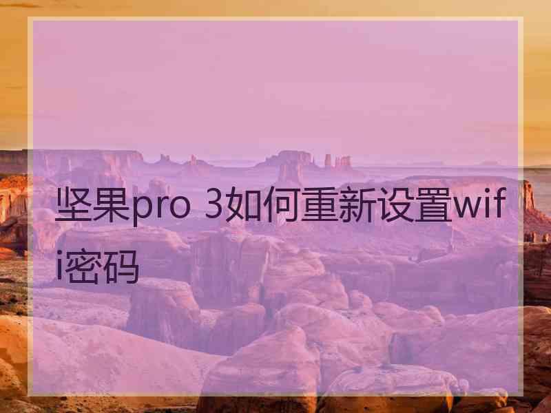 坚果pro 3如何重新设置wifi密码