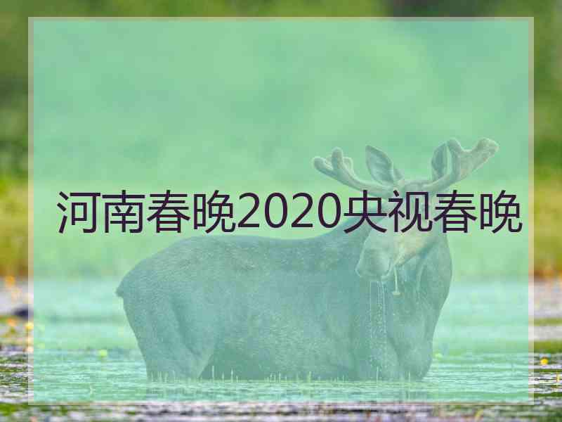 河南春晚2020央视春晚