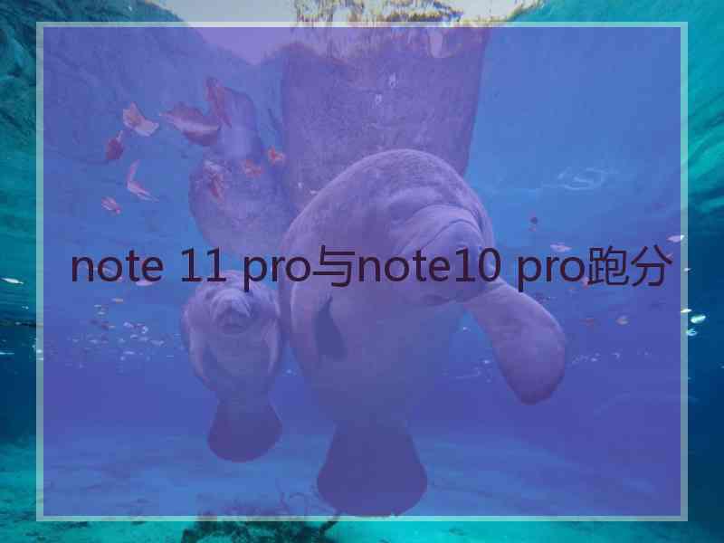 note 11 pro与note10 pro跑分