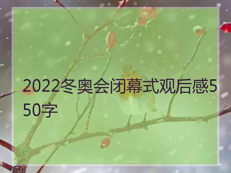 2022冬奥会闭幕式观后感550字