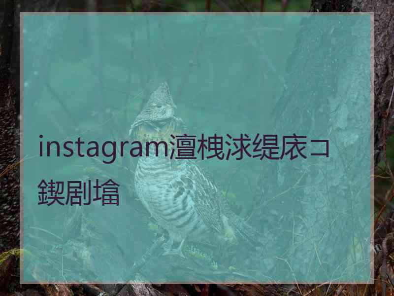 instagram澶栧浗缇庡コ鍥剧墖