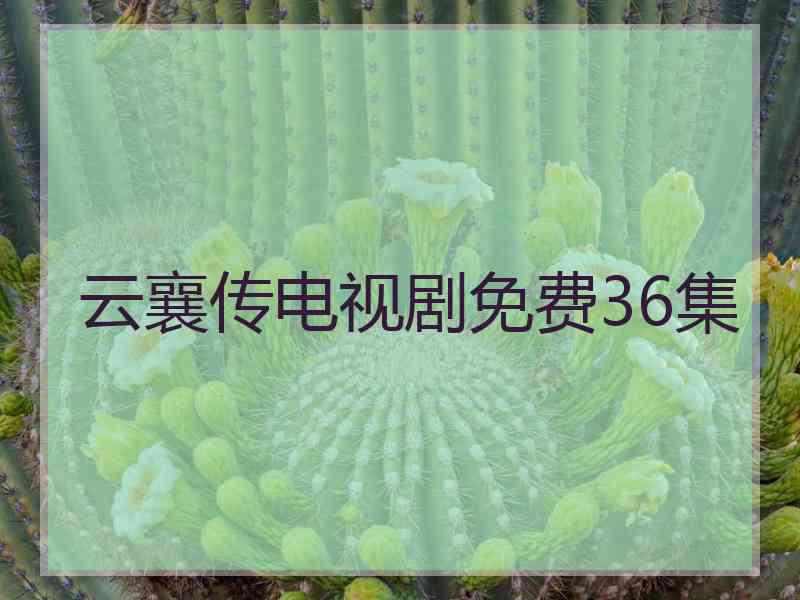 云襄传电视剧免费36集