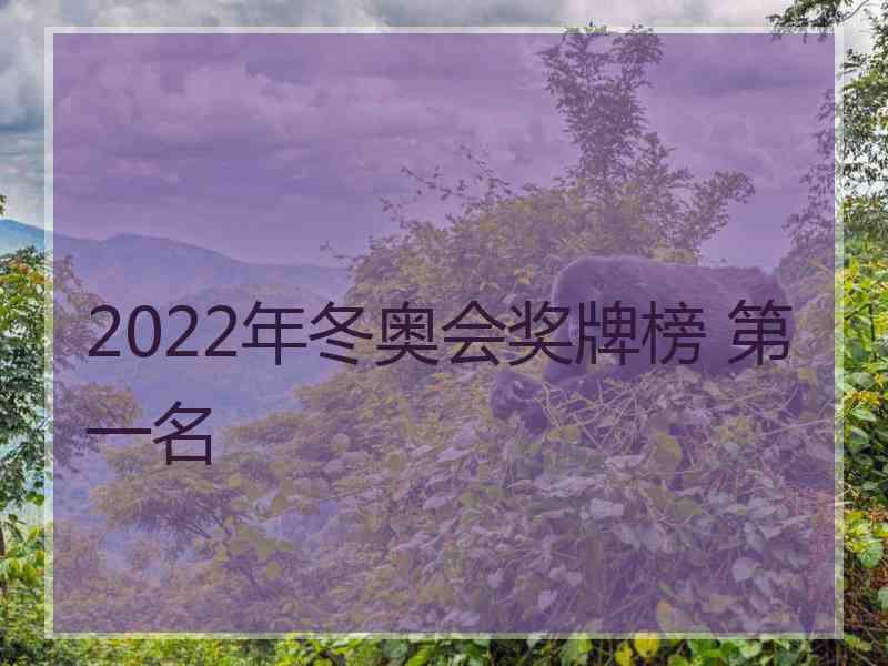 2022年冬奥会奖牌榜 第一名