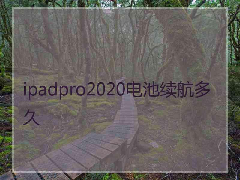 ipadpro2020电池续航多久