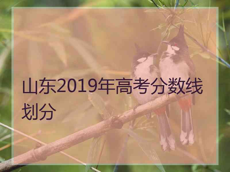 山东2019年高考分数线划分