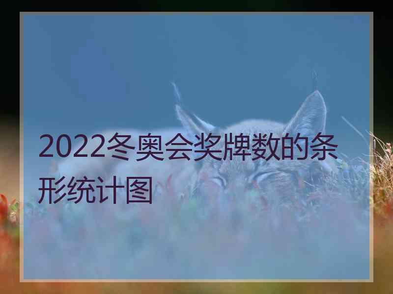 2022冬奥会奖牌数的条形统计图