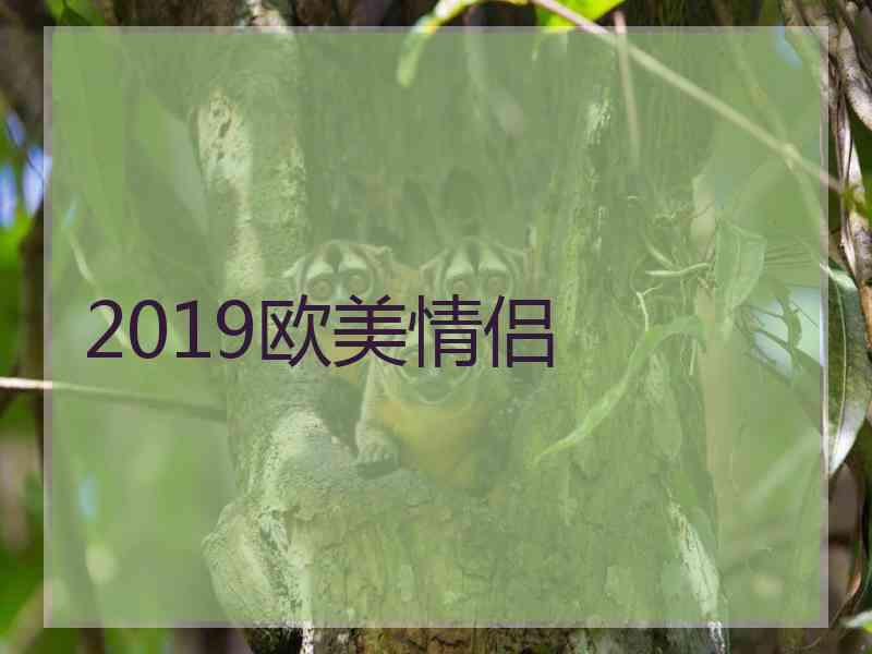 2019欧美情侣