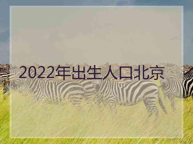 2022年出生人口北京