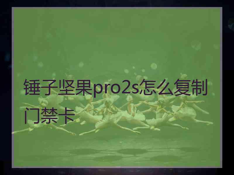 锤子坚果pro2s怎么复制门禁卡