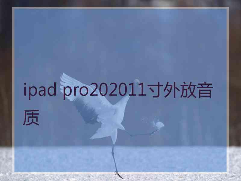 ipad pro202011寸外放音质