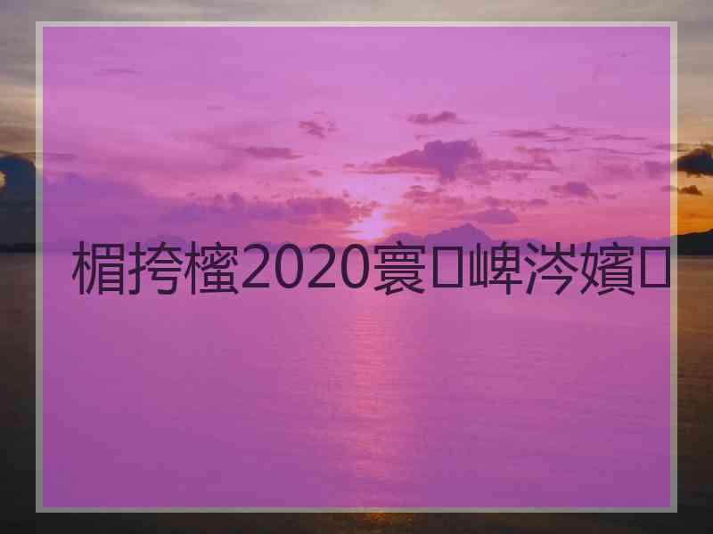 楣挎櫁2020寰崥涔嬪