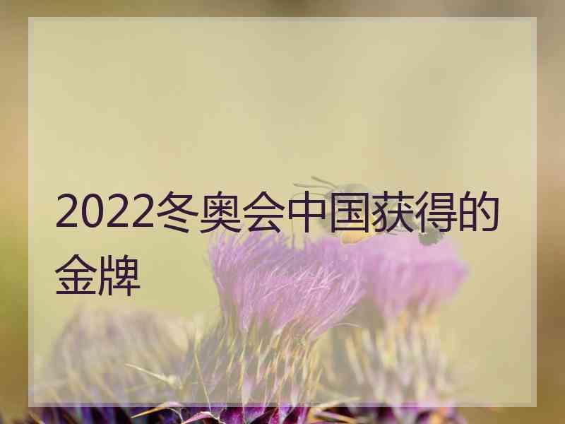 2022冬奥会中国获得的金牌