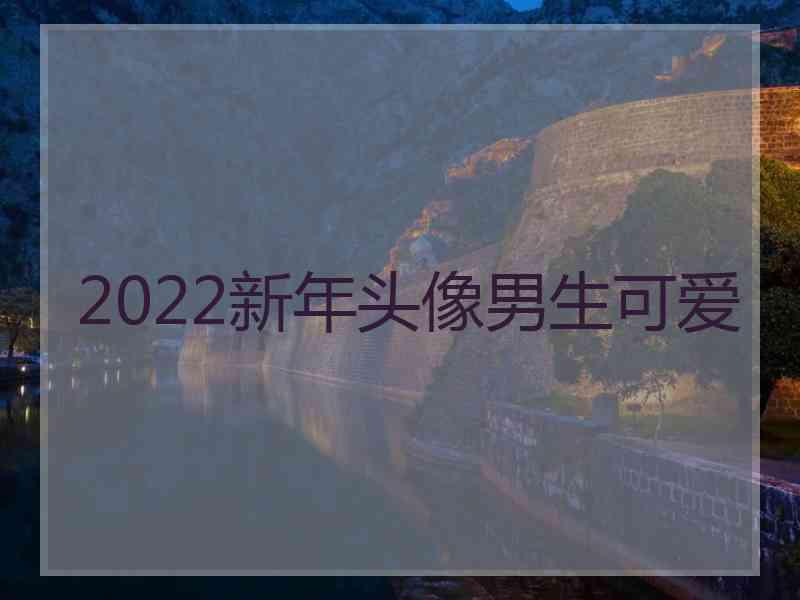 2022新年头像男生可爱