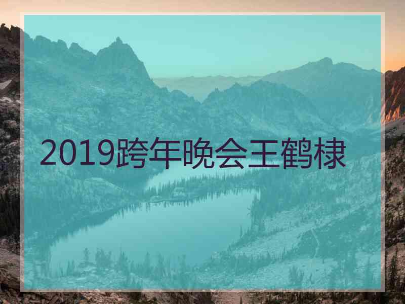 2019跨年晚会王鹤棣