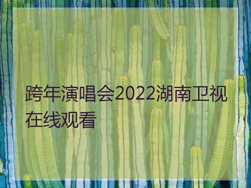 跨年演唱会2022湖南卫视在线观看