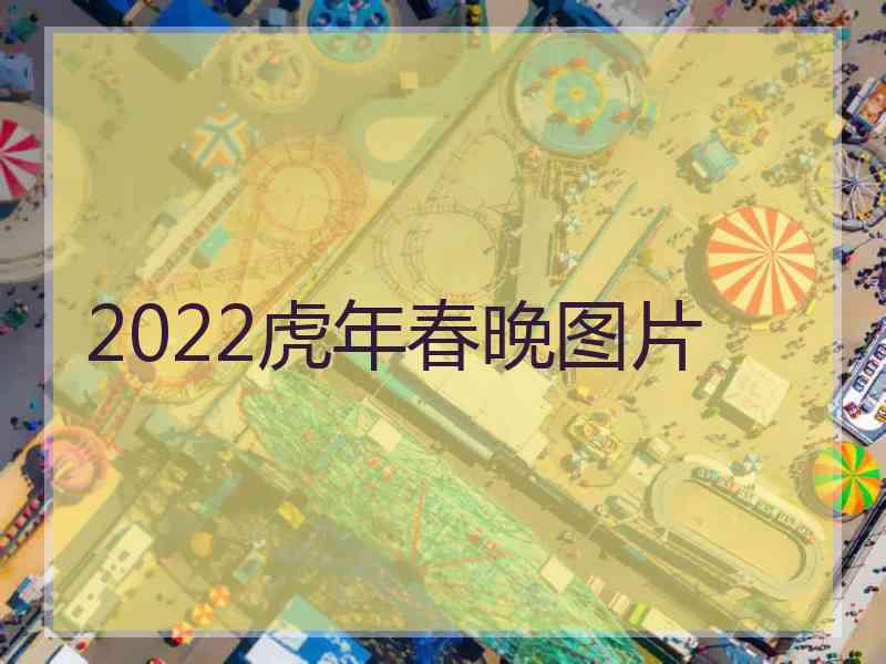 2022虎年春晚图片