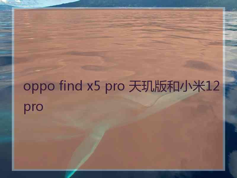 oppo find x5 pro 天玑版和小米12pro